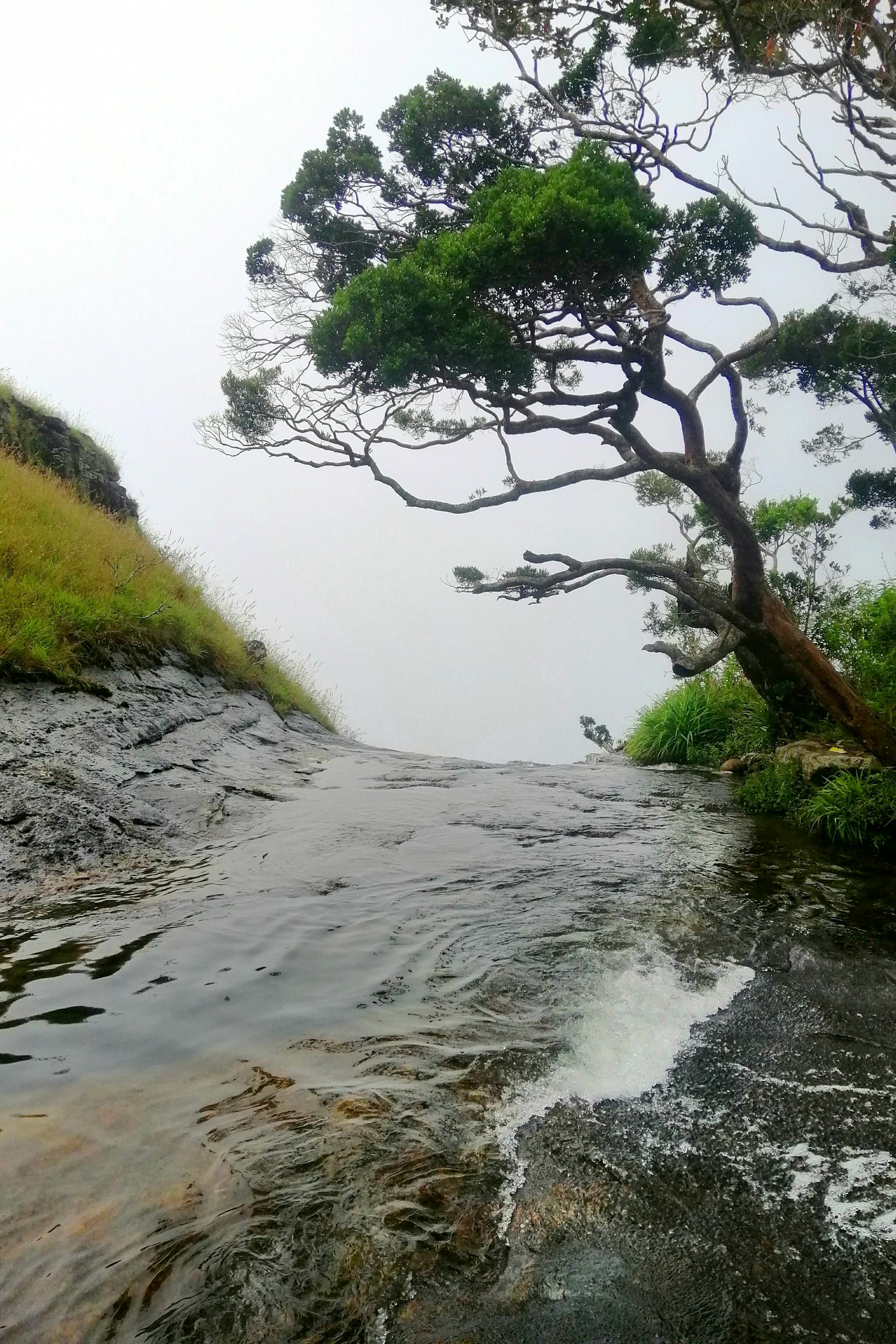 Diyaluma Falls & Infinity Pools